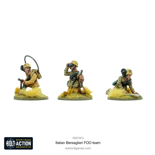 [403015812] Italian Bersaglieri FOO Team