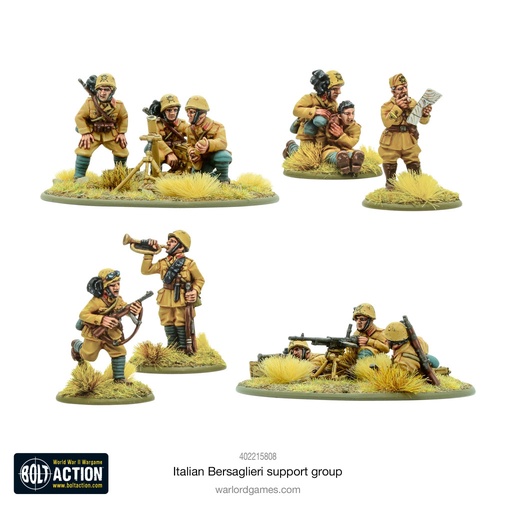 [402215808] Italian Bersaglieri Support Group