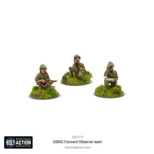 [403013119] US Marine Corps Forward Observer Team