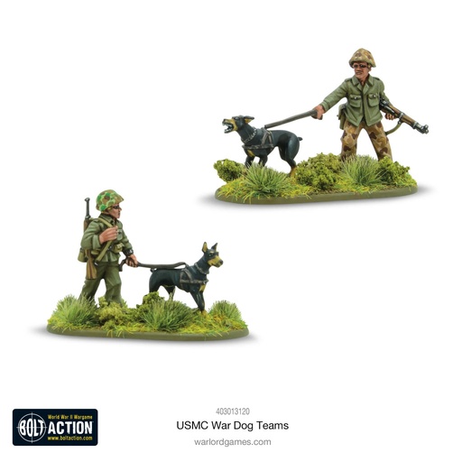 [403013120] US Marine Corps War Dog Teams