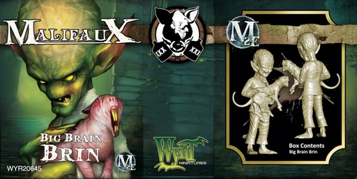 [WYR20645] Big Brain Brin