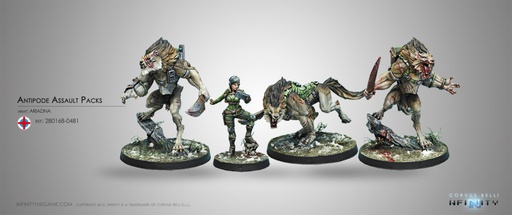 [280168-0481] Antipode Assault Pack