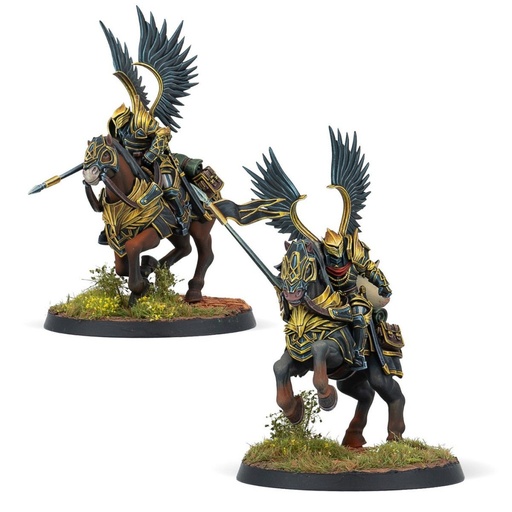 [WW02007-0021] Black Angels