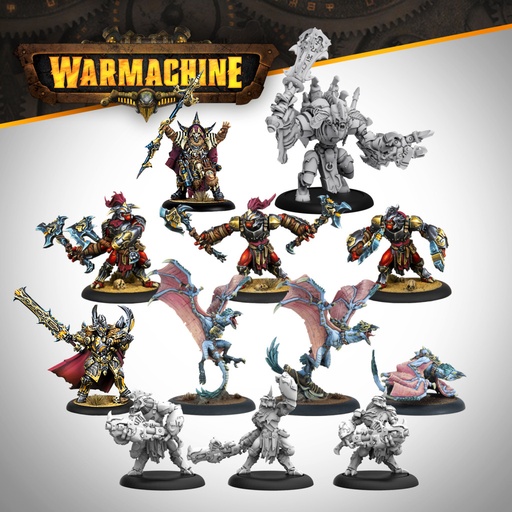 [SFIK-ORG032] Warmachine: Orgoth Sea Raiders Auxiliary Expansion