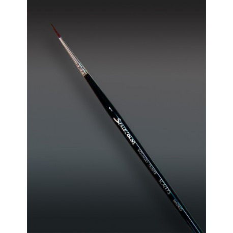 [SBR-001] SBR-001 Complements KOLYNSKI TAJMYR Nş 1